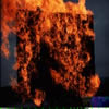 Abstract: click to enlarge